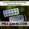Leopard Miracle Of Honey Side Effects 39